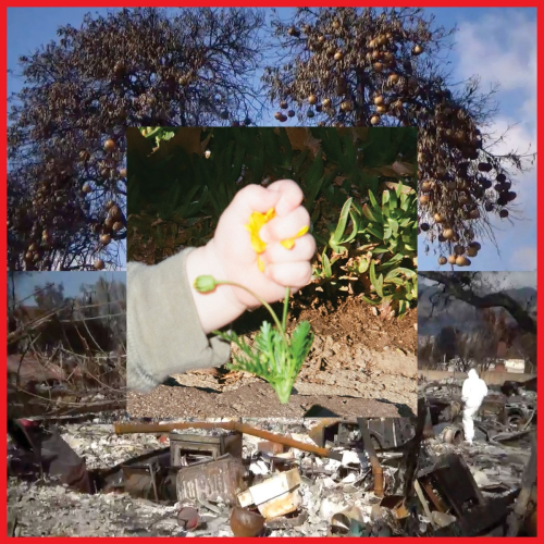 Return of Youth by DIIV - imusic.am