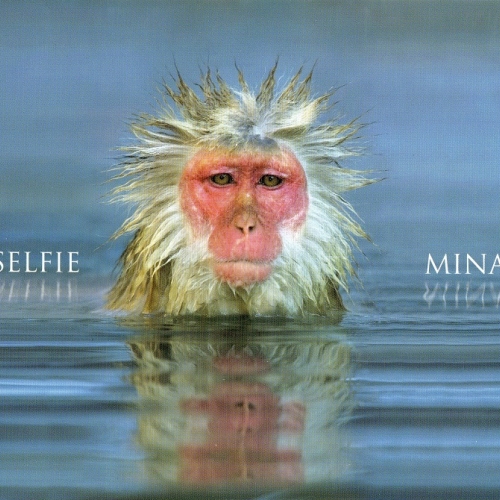 Selfie by Mina - imusic.am