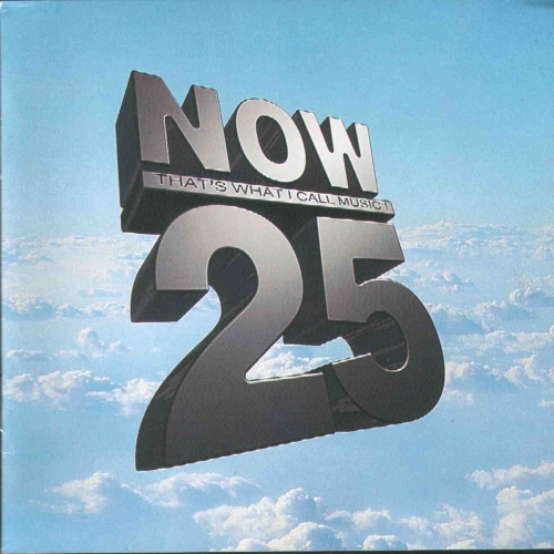 Now That's What I Call Music! 25 by Various Artists - imusic.am