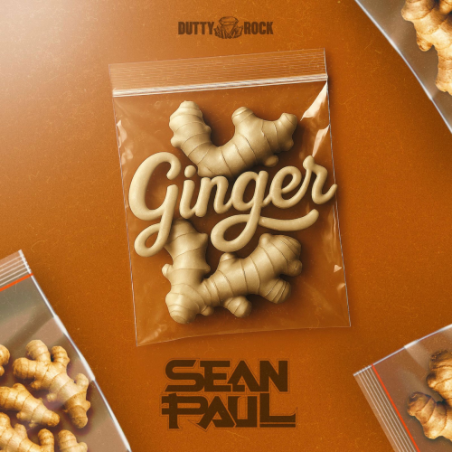 Ginger by Sean Paul - imusic.am