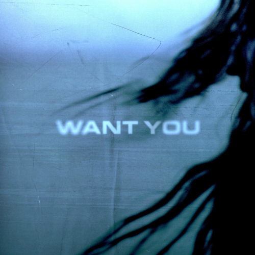 Want You by Clara La San - imusic.am