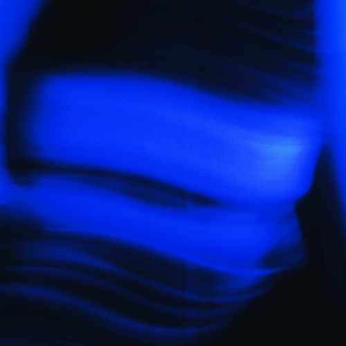 Animal by Matt Ryder - imusic.am