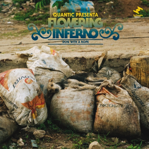 Dog With A Rope by Quantic Presenta Flowering Inferno - imusic.am