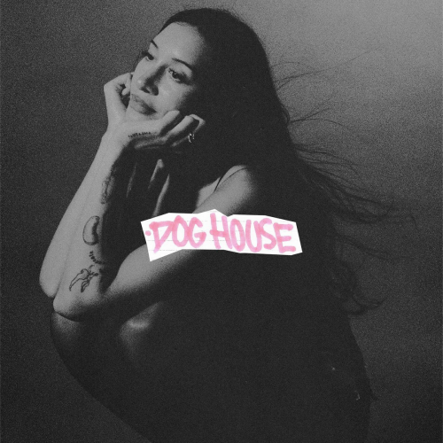 DOG HOUSE by Drake, Julia Wolf, Yeat - imusic.am