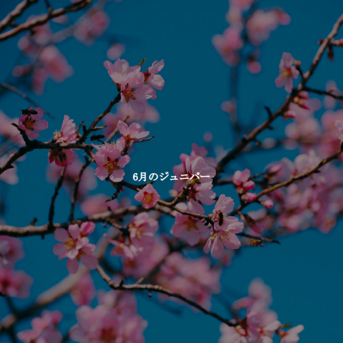 6月のジュニパー by Lounge Chill Out, French Cafe Jazz Classics - imusic.am