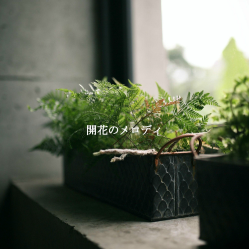 開花のメロディ by Musica para Hoteles, Lounge Chill Out, French Cafe Jazz Classics - imusic.am