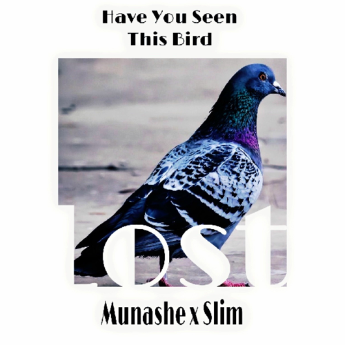 Lost (Feat. Slimrythere!) by Munashe, Slim - imusic.am