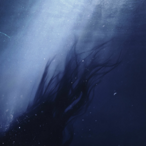 Azimuth by Danny L Harle, Caroline Polachek - imusic.am