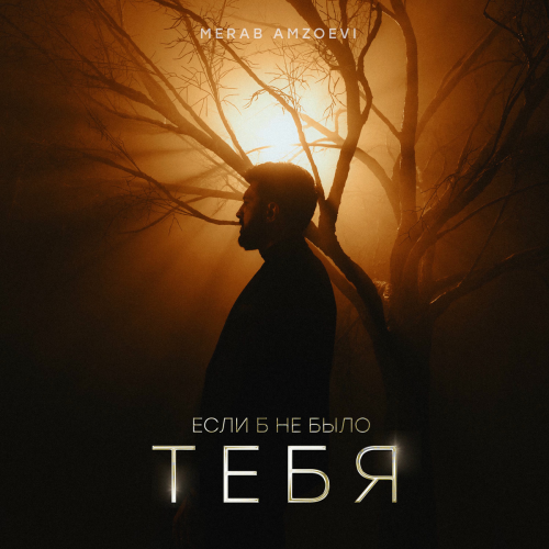 Если б не было тебя by Merab Amzoevi - imusic.am