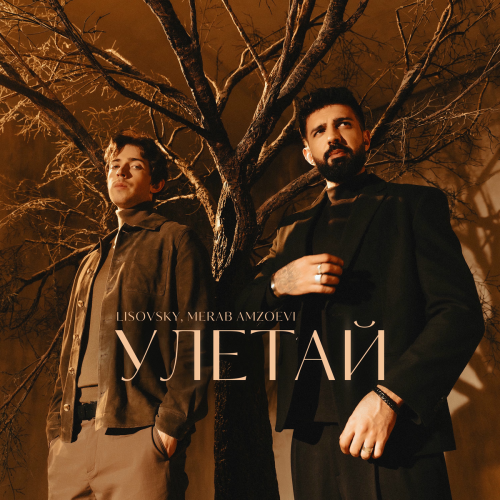 Улетай by LISOVSKY, Merab Amzoevi - imusic.am