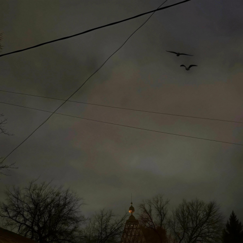 Черные Вороны (Не До Абстракций II) by Loc-Dog, PHARAOH - imusic.am