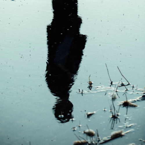 HEAD ABOVE WATER by Tom Cooper - imusic.am