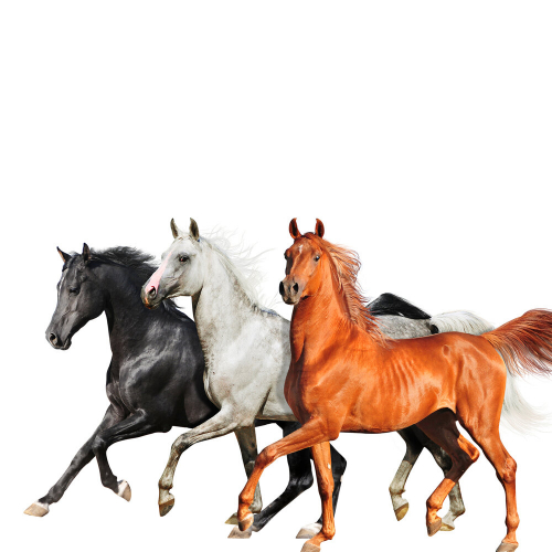 Old Town Road by Lil Nas X, Billy Ray Cyrus, Diplo - imusic.am