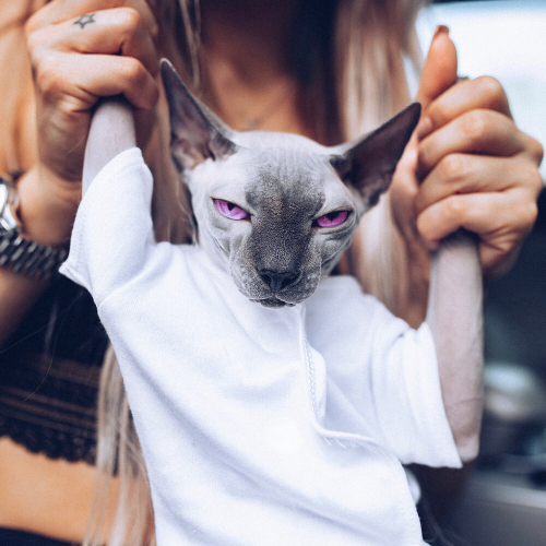 Голая В Белой Майке by Мари Краймбрери - imusic.am