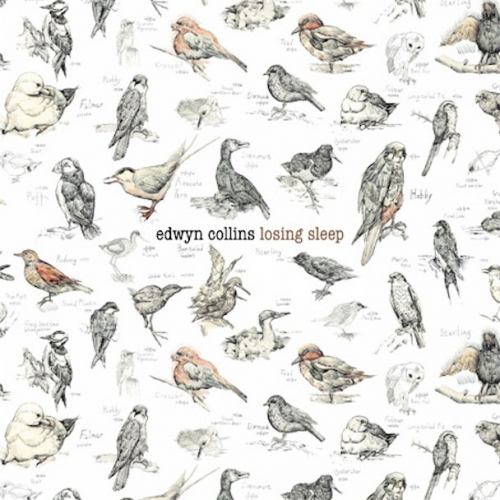 Losing Sleep by Edwyn Collins - imusic.am