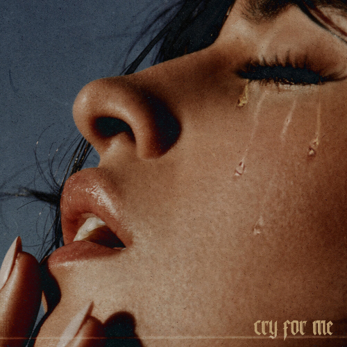 Cry For Me by Camila Cabello - imusic.am