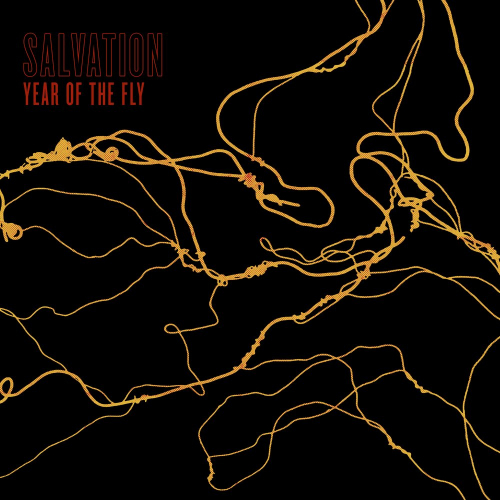 Year Of The Fly by Salvation - imusic.am