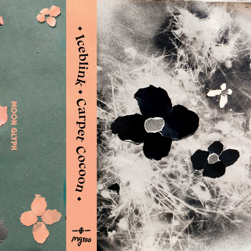 Carpet Cocoon by Iceblink - imusic.am