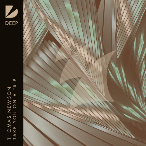 Take You On A Trip by Thomas Newson - imusic.am