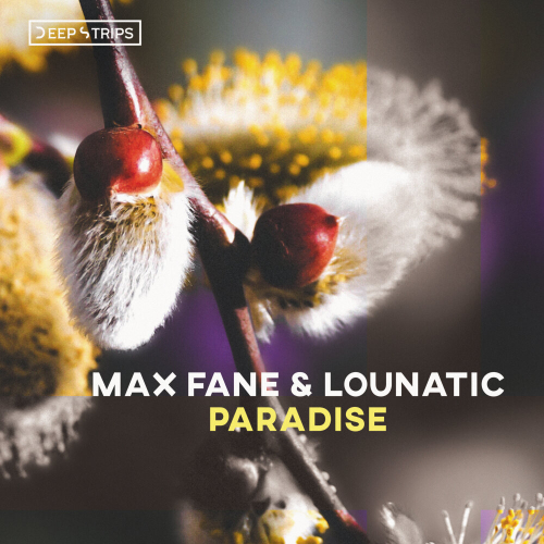 Paradise by Max Fane, Lounatic - imusic.am