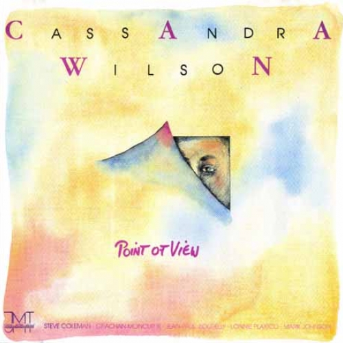 Point Of View by Cassandra Wilson - imusic.am