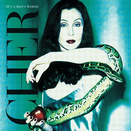It's A Man's World by Cher - imusic.am