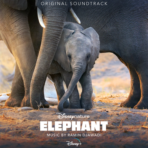Elephant by Ramin Djawadi - imusic.am