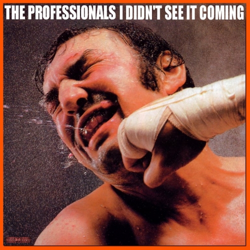 I Didn't See It Coming by The Professionals - imusic.am
