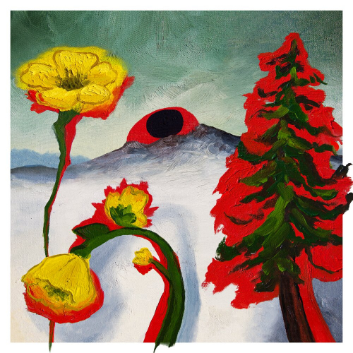 Strange To Explain by Woods - imusic.am