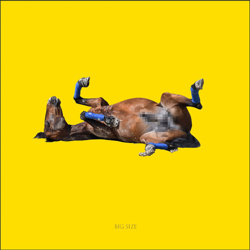 BIG SIZE by BIG RUSSIAN BOSS, SQWOZ BAB, Young P&H - imusic.am