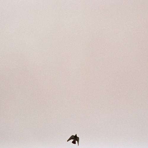 You Know How It Feels by Maverick Sabre - imusic.am