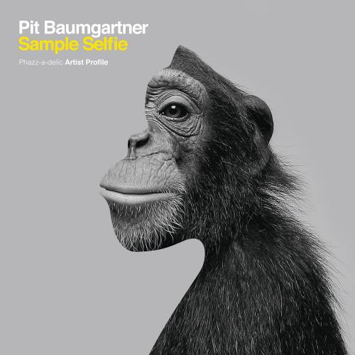 Sample Selfie by Pit Baumgartner - imusic.am