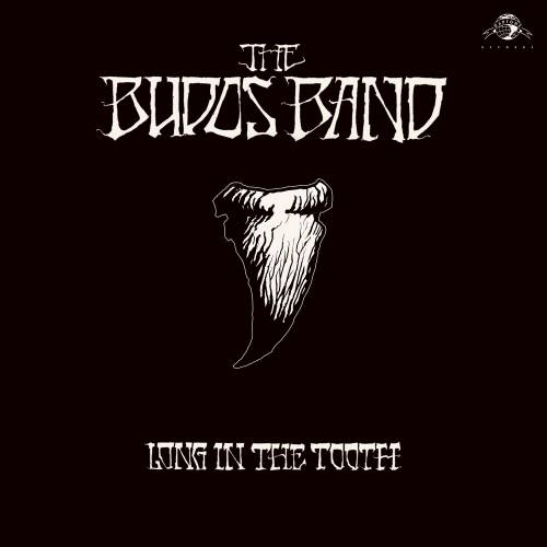 Long In The Tooth by The Budos Band - imusic.am