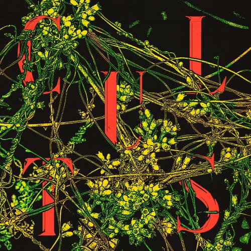 Host by Cults - imusic.am