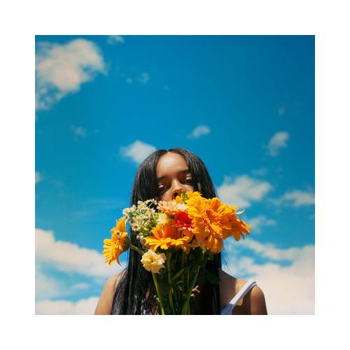 Flowers by TSHA - imusic.am