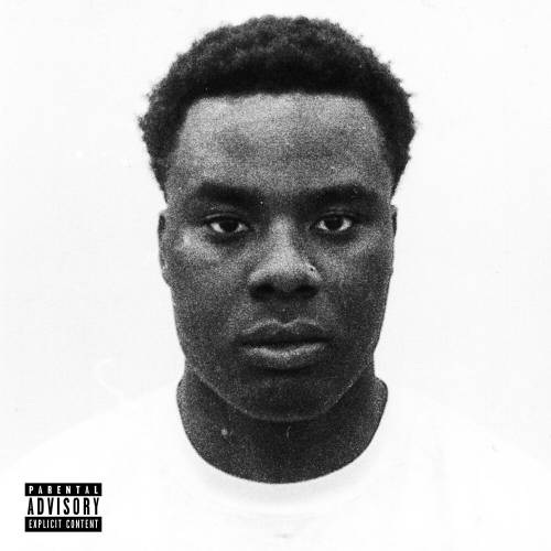 RAW DAWG by Raj Mahal, Domba - imusic.am