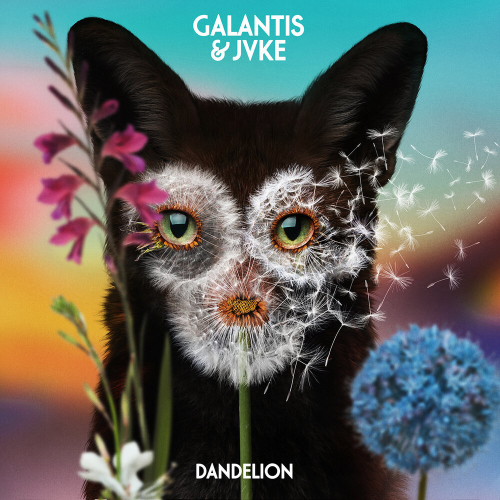 Dandelion by Jvke, Galantis - imusic.am