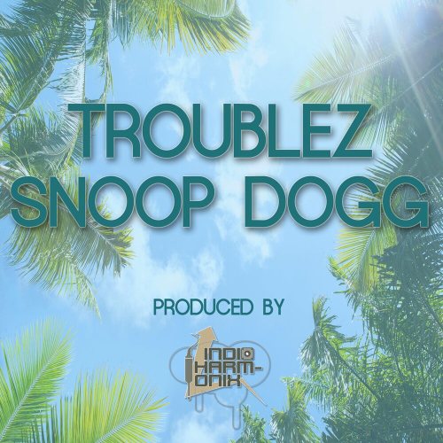 Troublez & Snoop by Troublez, Snoop Dogg - imusic.am