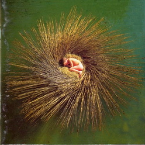 Ovo by Peter Gabriel - imusic.am