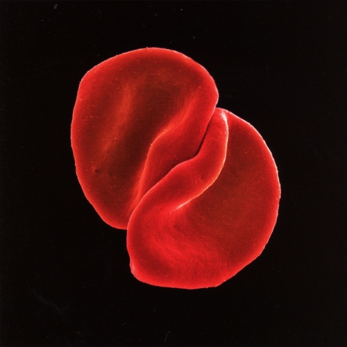 Scratch My Back by Peter Gabriel - imusic.am