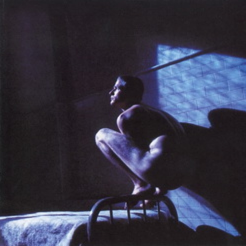 Birdy Ost by Peter Gabriel - imusic.am
