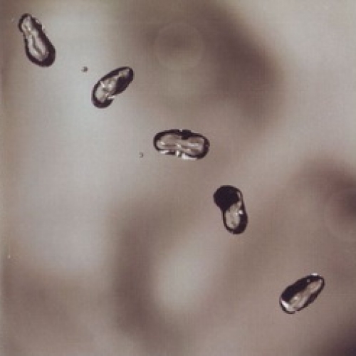 Up by Peter Gabriel - imusic.am