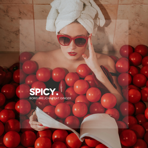 Spicy by Boris Brejcha, Ginger - imusic.am