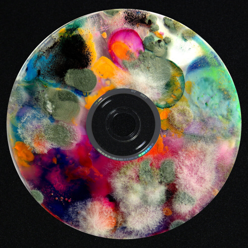 ОМОФОР by Boulevard Depo, JEEMBO - imusic.am