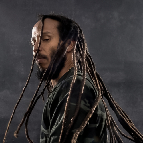 Ziggy Marley - imusic.am
