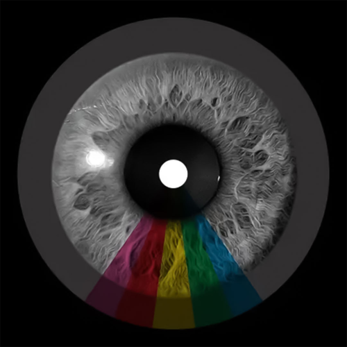 Alex Cortex - imusic.am