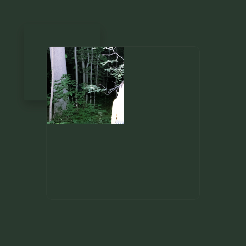 ладим - imusic.am