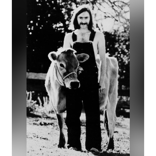 Norman Greenbaum - imusic.am