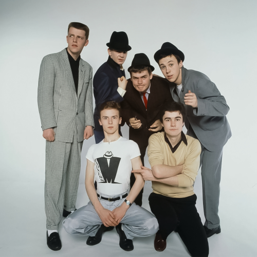 Madness - imusic.am