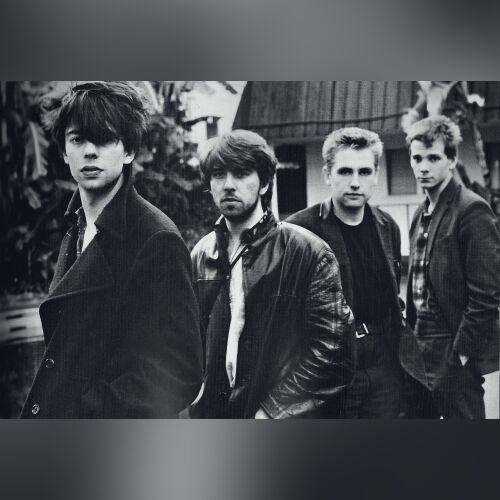 Echo & The Bunnymen - imusic.am